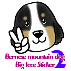 Bernese Mountain Dog Big face sticker！2